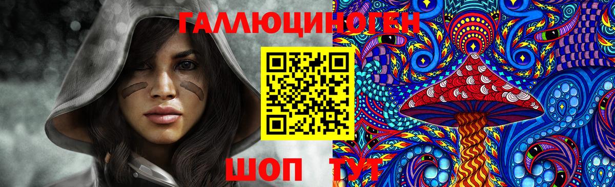 Псилоцибиновые грибы Cubensis Будённовск
