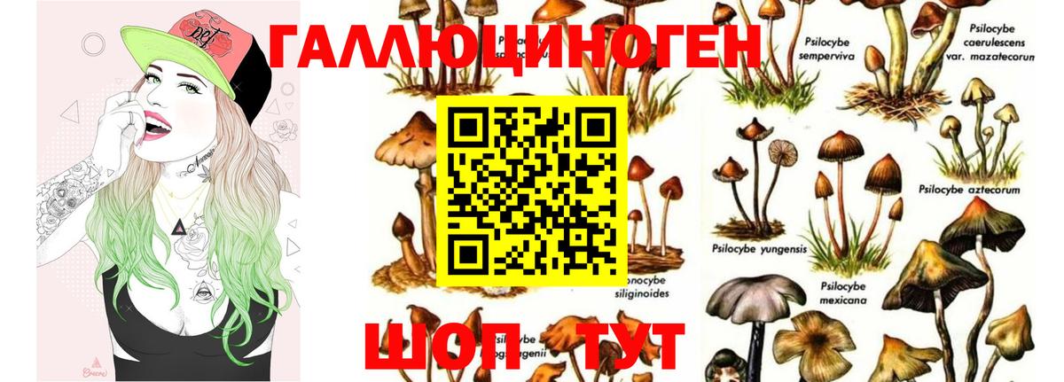 Галлюциногенные грибы MAGIC MUSHROOMS  Галлюциногенные грибы MAGIC MUSHROOMS  Вход с VPN  Будённовск 
